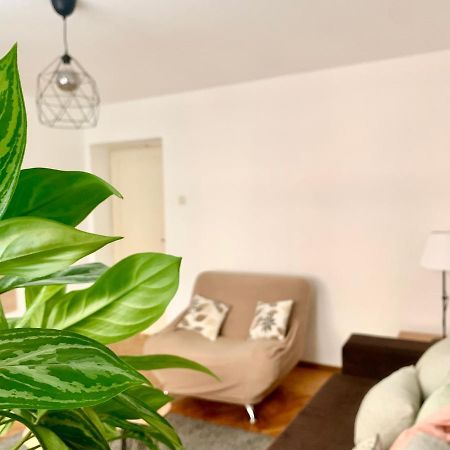 Star Apartment 2 Белград Екстериор снимка